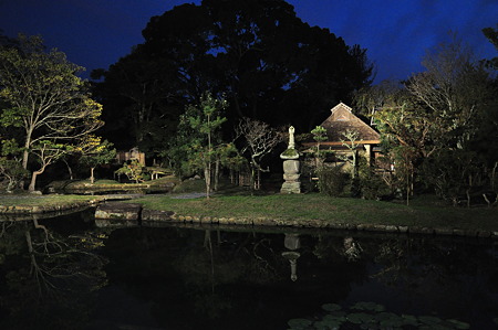 奈良公園2011秋-09