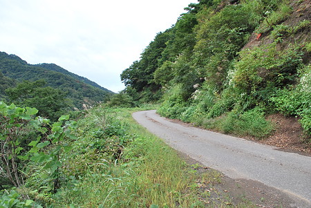 冠山林道 福井側