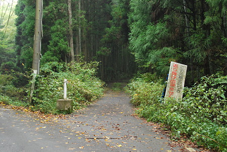 質山峠北