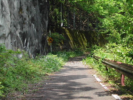 R306佐目トンネル旧道? おにぎりの痕跡