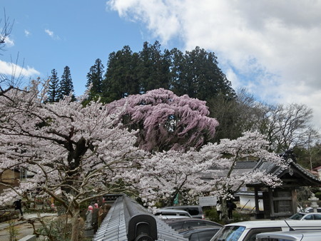 CIMG0725