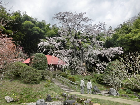 CIMG0728