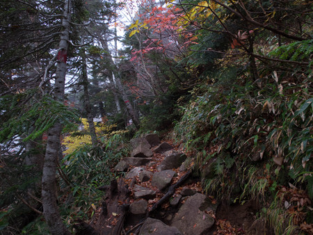 20141004_074857_Canon S120