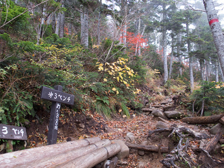 20141004_081036_Canon S120
