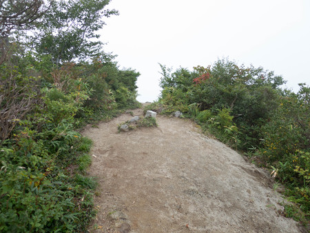 20140914_101733_Canon S120
