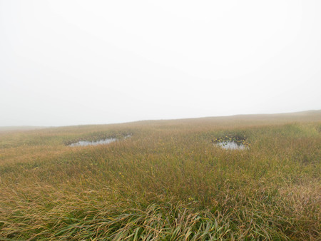 20140914_151743_Canon S120