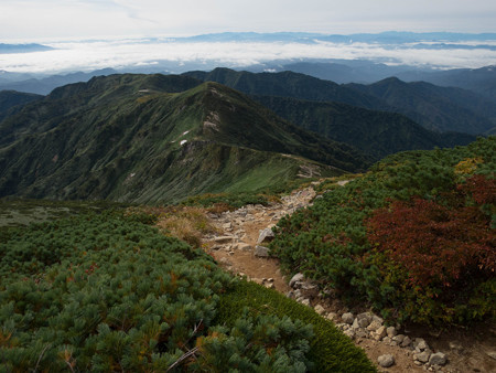 20140915_084138_Canon S120