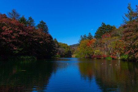 20141018_132429_Canon EOS M 雲場池