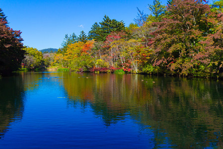 20141018_132544_Canon EOS M 雲場池