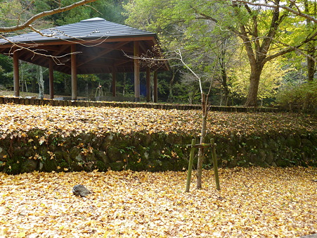 施福寺 (7)