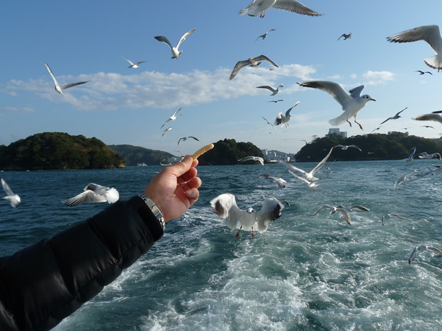 鳥羽湾巡り (1)