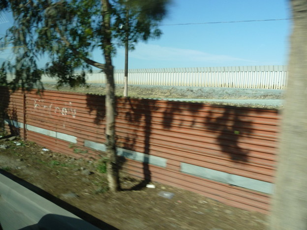 メキシコ (11)