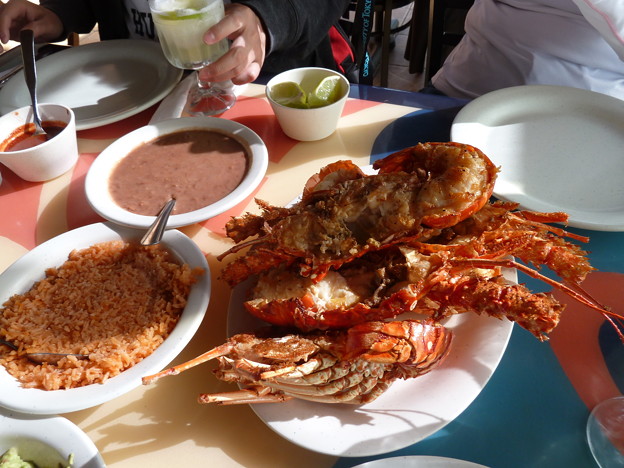 メキシコ (21)