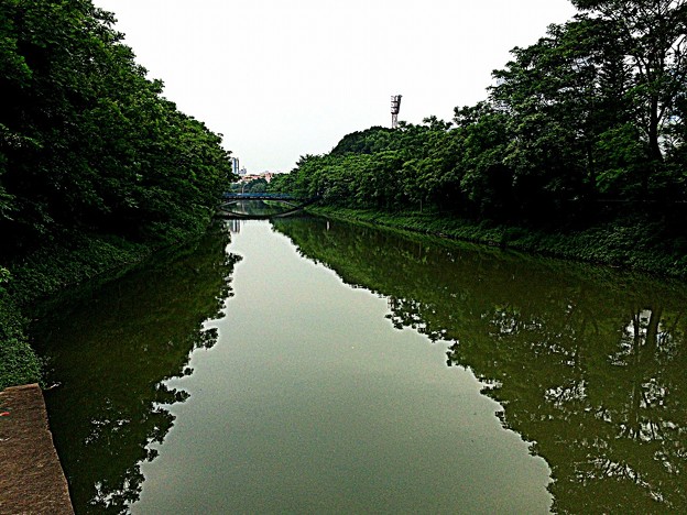 中山の川 中山の川
