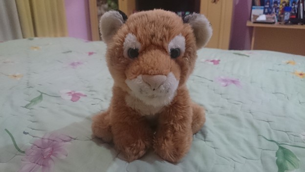 My favorite stuffed animals