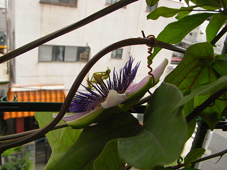 R0012749