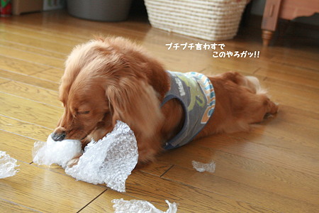 プチプチ4