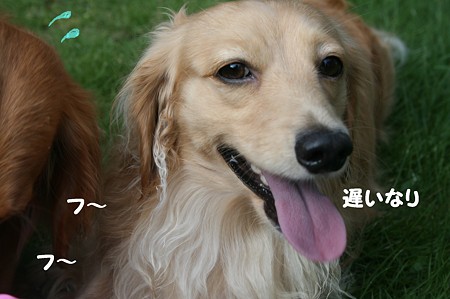 ビーチボール 7