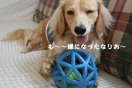 取れない・・3