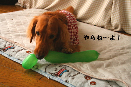 東矢くんの好きな物 5