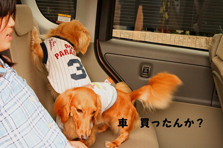 タント2