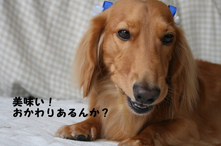 トリミング後4