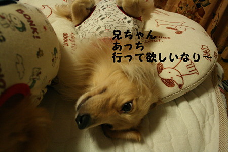 眠れない 2