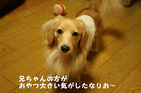 おやつ 9