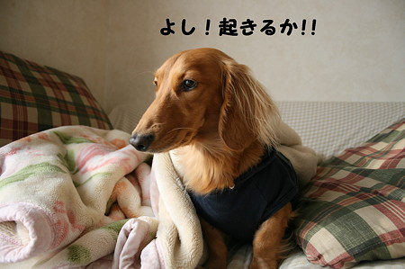 寝起き 4