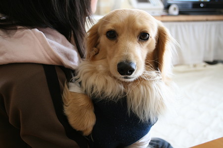 長女と摩耶さん