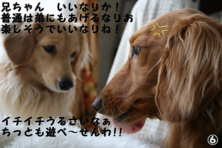 東矢くんと摩耶さん6