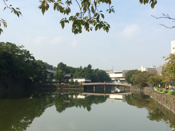 皇居の素敵な景色も走ることを後押ししてくれる