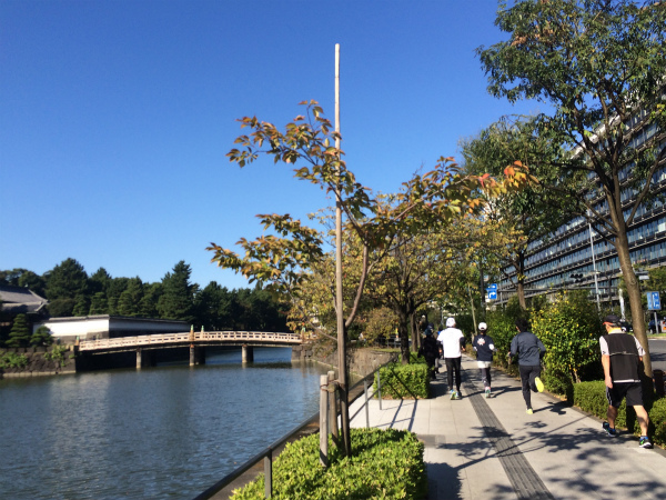 抜けるような青空と木々の緑がとても綺麗