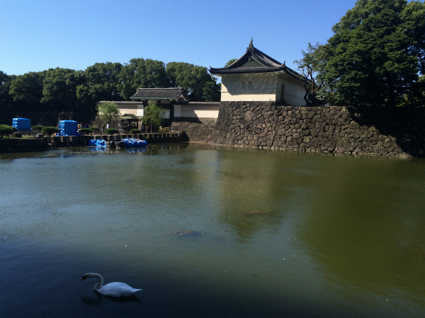 21.5km達成地点の景色