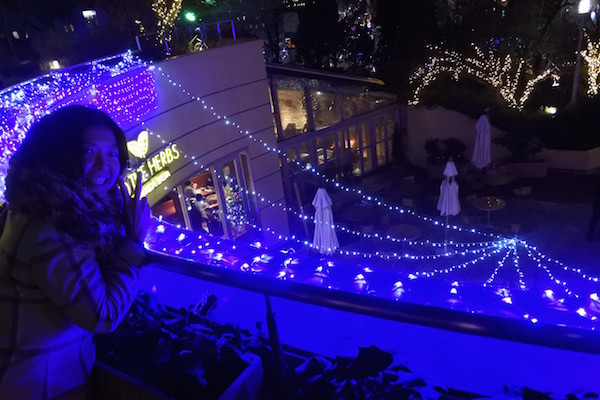 建物の階層と回廊にあわせて立体的に楽しめる 建物の階層と回廊にあわせて立体的に楽しめる