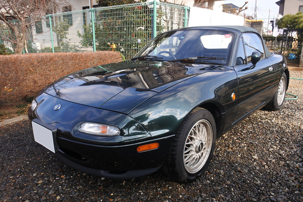 35分間の水洗いでそこそこ綺麗になりました。