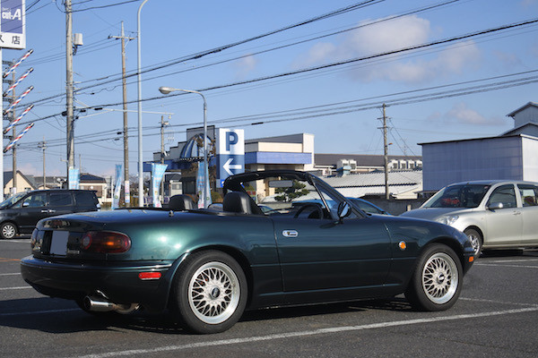 太陽の光を浴びてきれいな緑色に輝く姿を見るとテンションが上がる