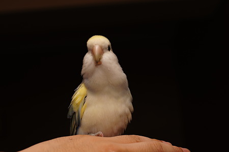 DSC01358