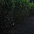 Photos: 自転車