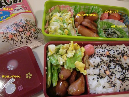 ごはん1