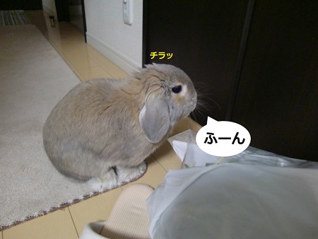 ごはん3