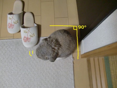角2