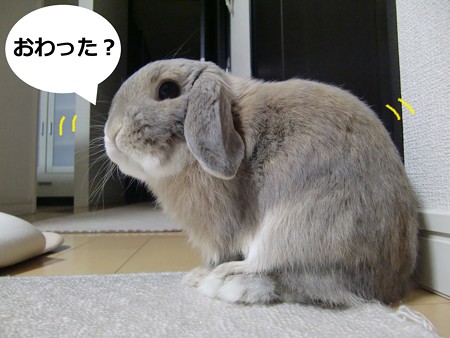 角3