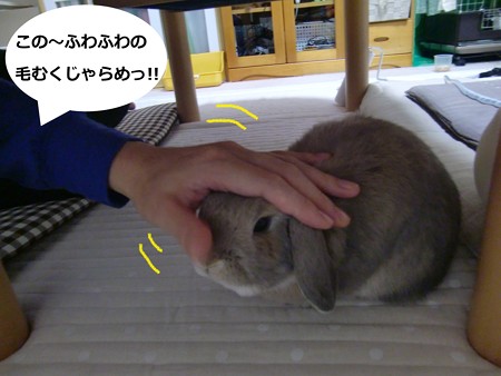 癒し1