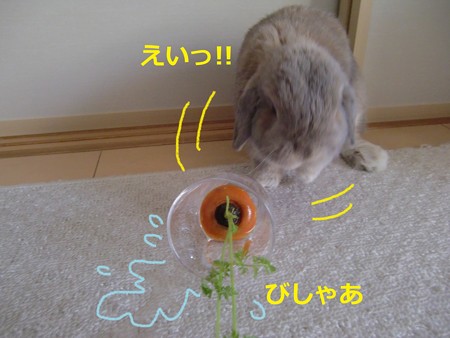にんじん5