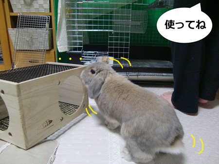 フルハウス2