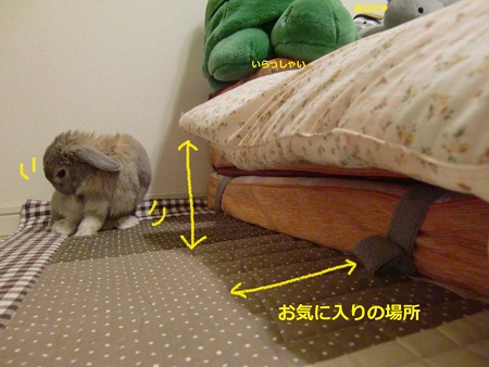 すきまっち1