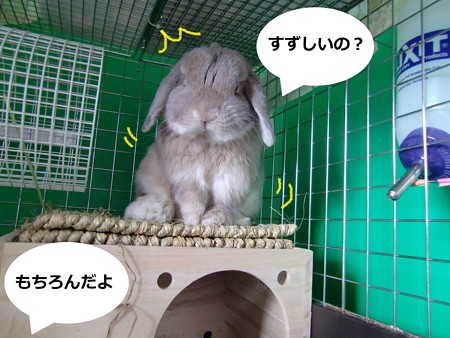 ぺろ4
