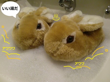 すりっぱ1
