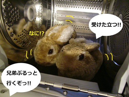 すりっぱ3